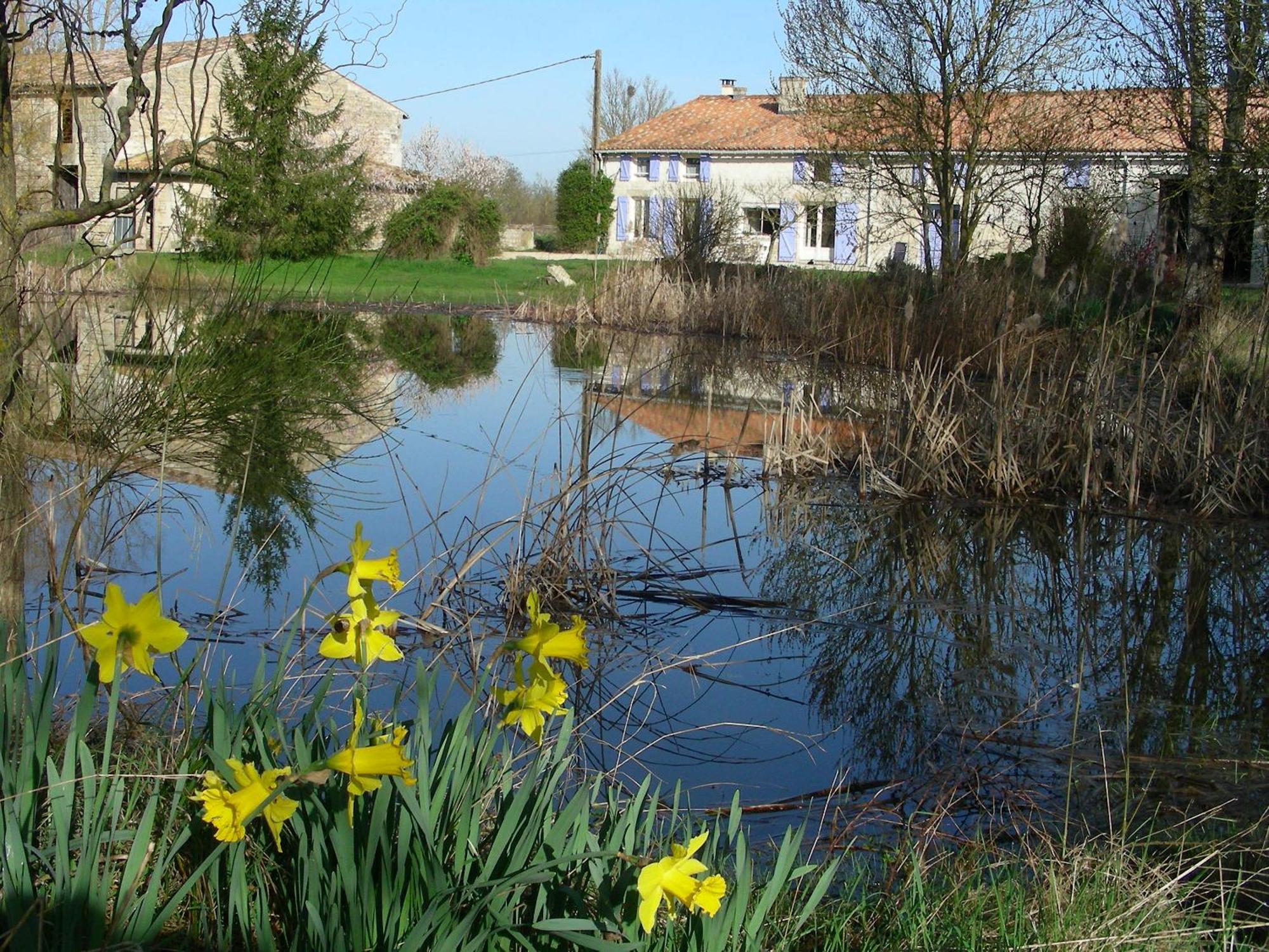 Chambres D'Hotes Entre Niort Et Marais Poitevin Bessines Esterno foto